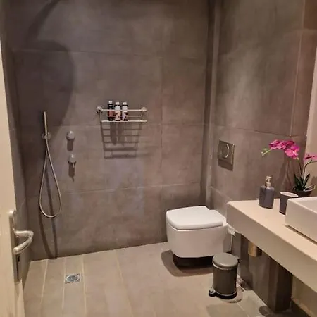 Aτos Comfort Apartament